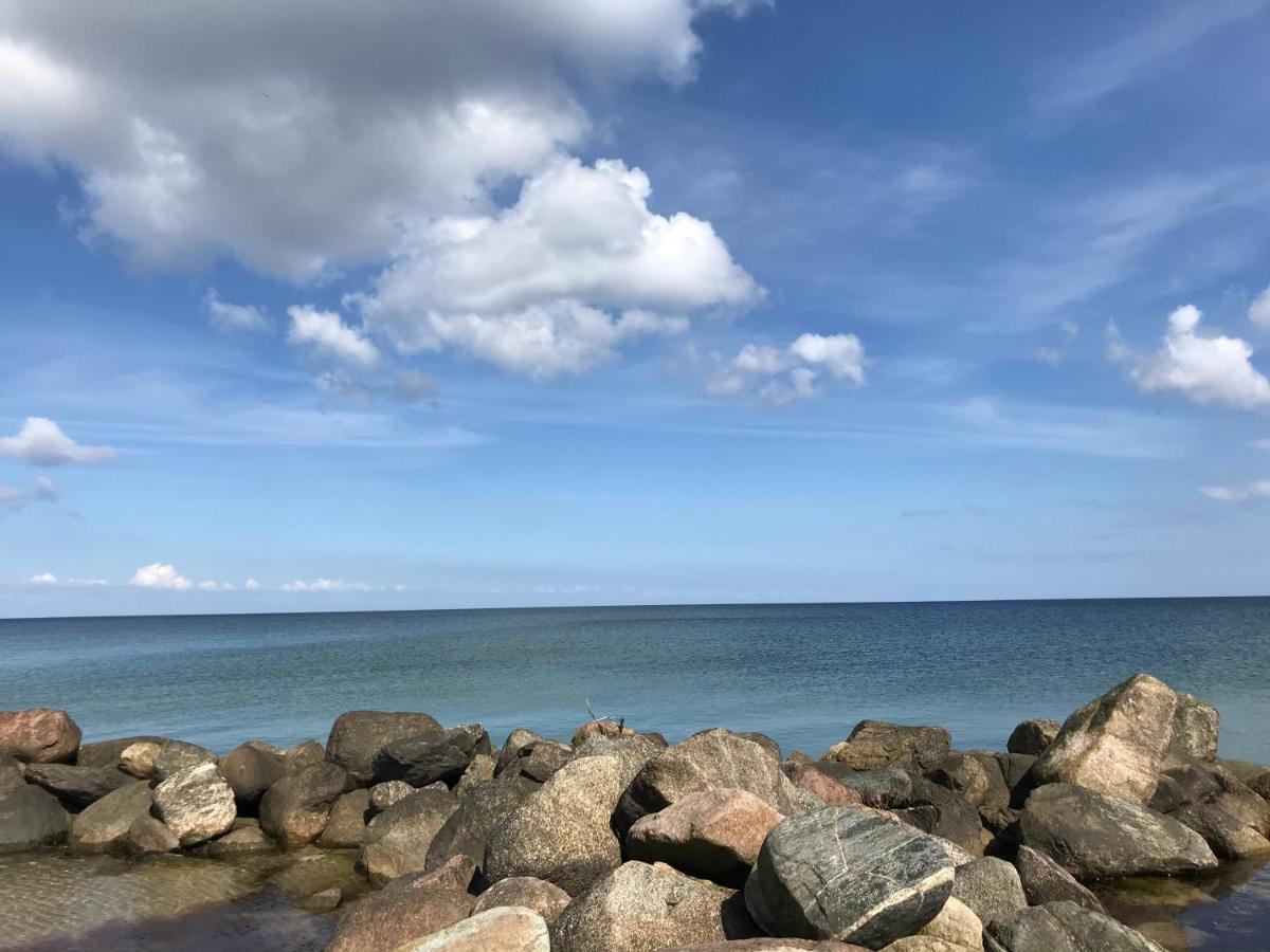 Strandlaeufer Schonhagen (Schleswig-Holstein)