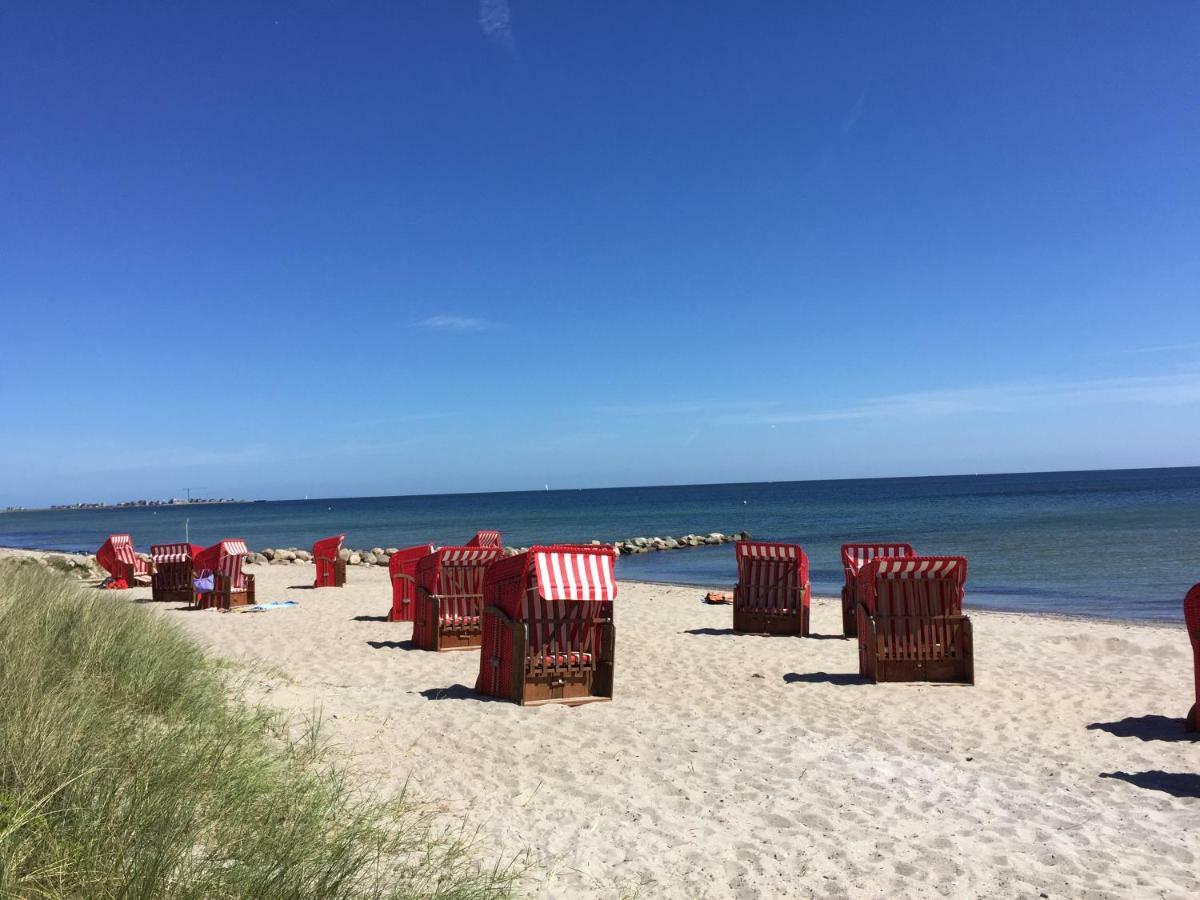 Strandlaeufer Schonhagen (Schleswig-Holstein)